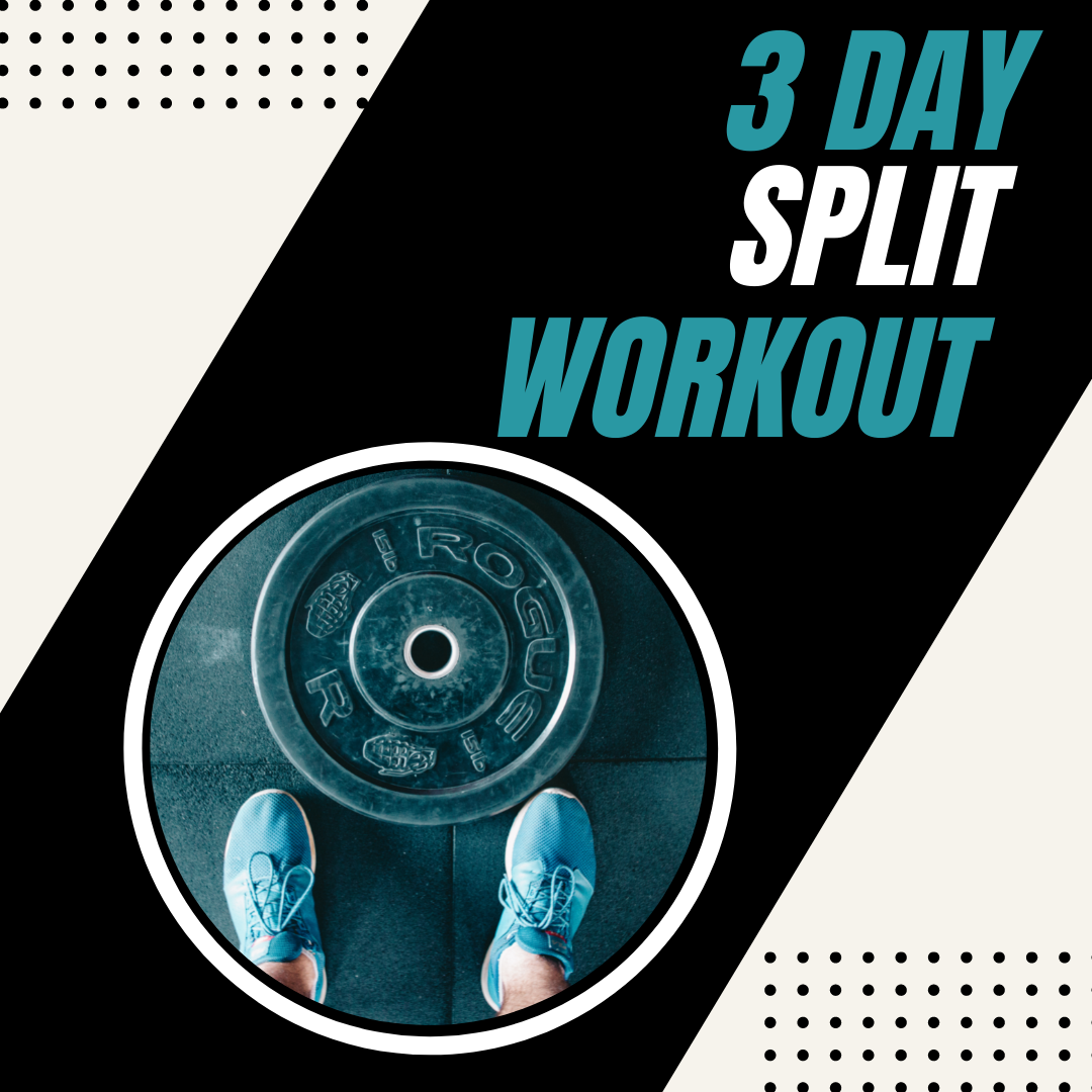 3 Day Split Workout