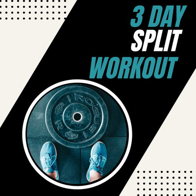 3 Day Split Workout
